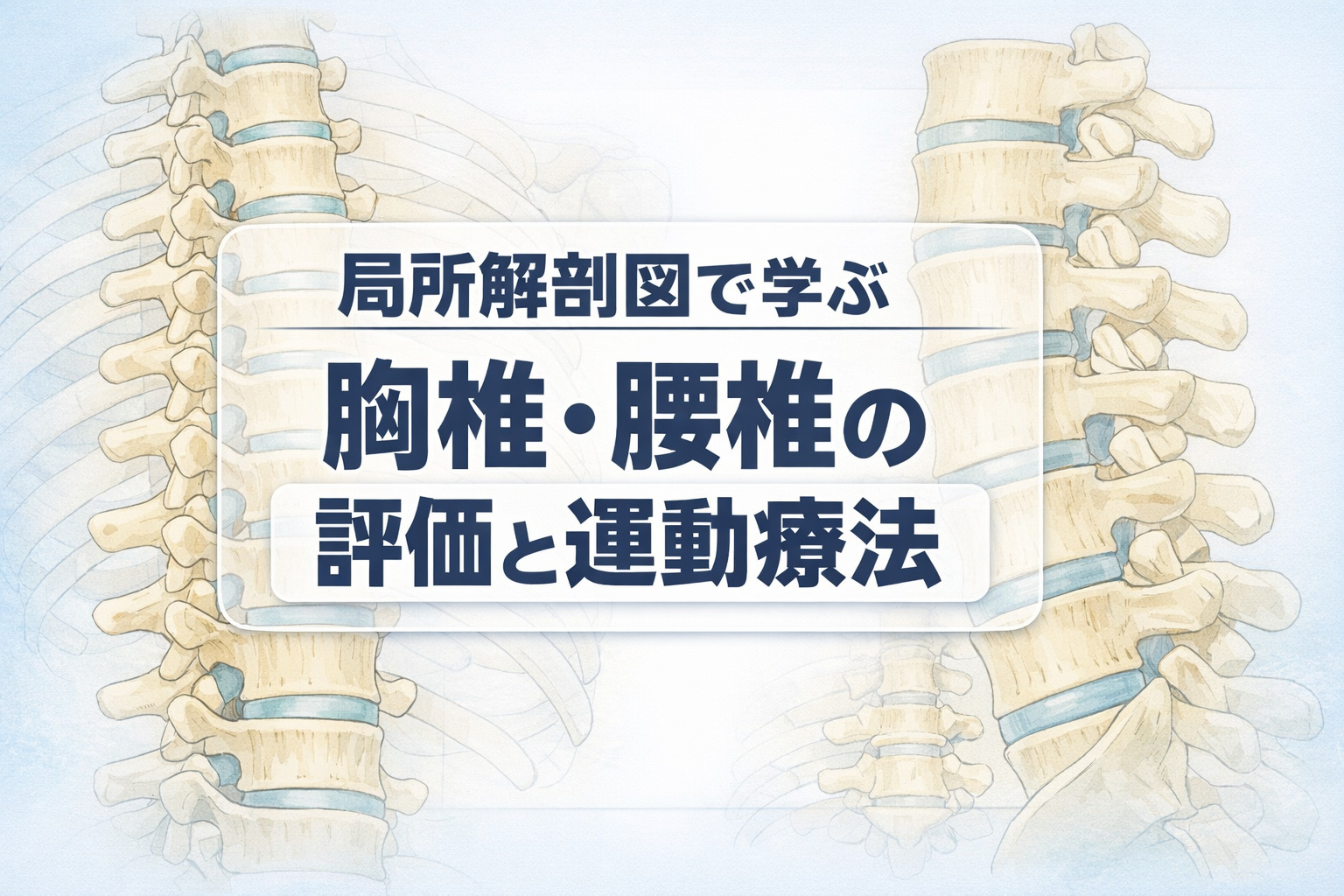 リピート配信　局所解剖図で学ぶ胸椎・腰椎の評価と運動療法（123分）（2026年7月31日まで視聴可能）