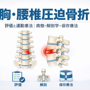 2026年3月30日（月）胸・腰椎圧迫骨折に対する評価と運動療法〜病態・解剖学・保存療法〜（14日間の見逃し配信付き）